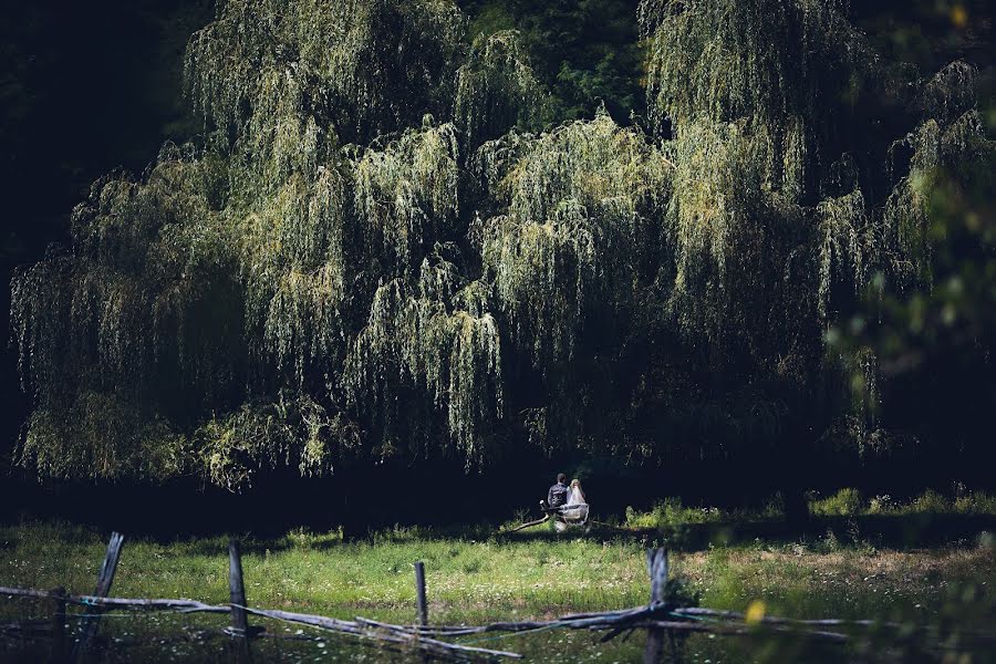 Fotografo di matrimoni Eugen Negoiță (eugennegoita). Foto del 7 novembre 2019