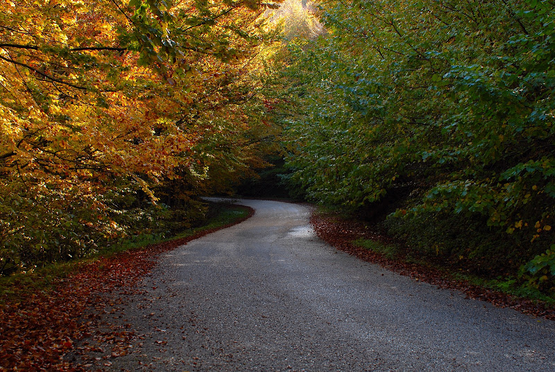 Autumn Road di Mikmata