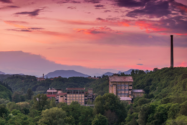 La natura si riprende i suoi spazi di CarloMarvelli