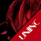 Item logo image for Red Rose Theme