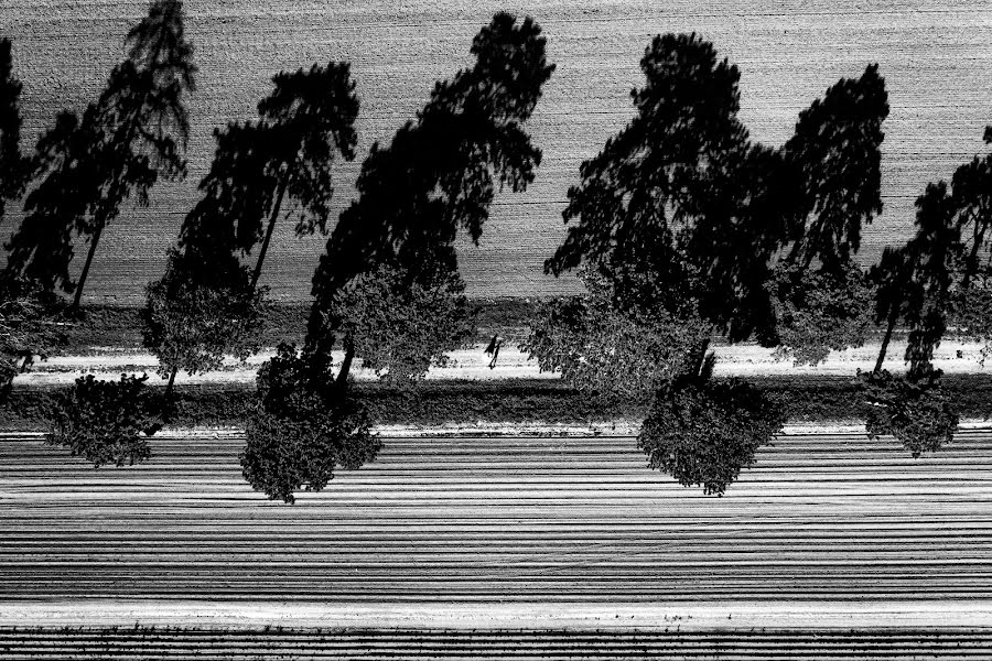 Vestuvių fotografas József Márk Losonczi (losonczi). Nuotrauka kovo 18