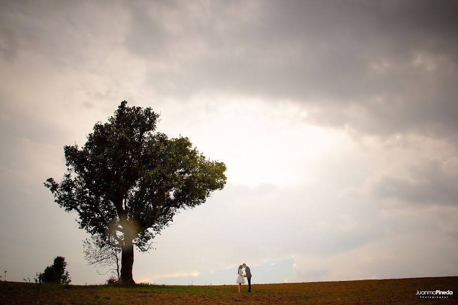 Vestuvių fotografas Juanma Pineda (juanmapineda). Nuotrauka 2014 liepos 1