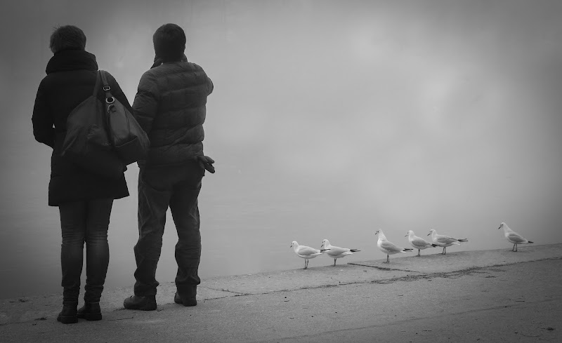 Tutti in fila ... di versil