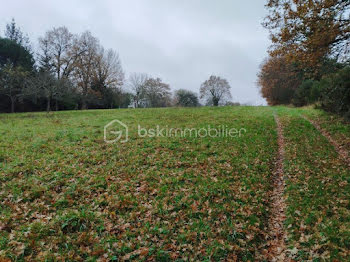 terrain à Mayenne (53)