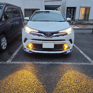 C-HR ZYX10