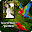 Parrot DP Maker – Love Birds Download on Windows