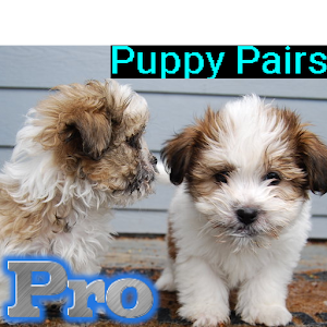 Puppy Pairs Pro