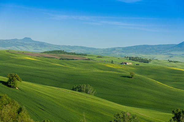 Green Waves di marchiriccardo