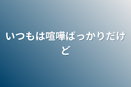 いつもは喧嘩ばっかりだけど