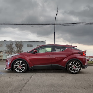 C-HR NGX50