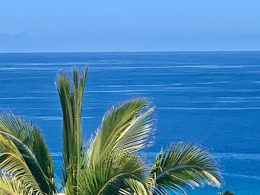 photo Villa avec piscine et terrasse