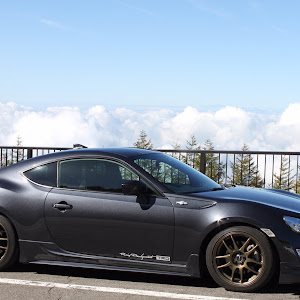 86 ZN6