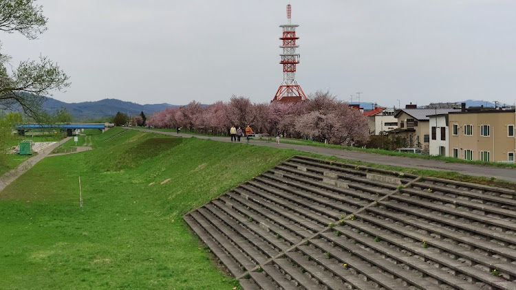 ふみ@ビビリーズ札幌＆ピスケ党さんが投稿した桜・旭川・外国樹種見本林・三浦綾子記念文学館に関するカスタム事例の投稿画像4枚目