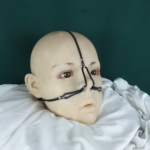 Title 11, Leather-bound alloy toy with a three-way nose h...