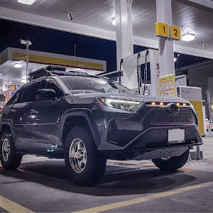 RAV4 MXAA54