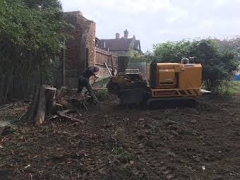 Stump grinding work album cover