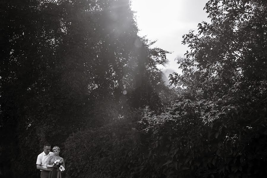 Fotografo di matrimoni Aleksandr Koshalko (koshalko). Foto del 13 giugno 2015