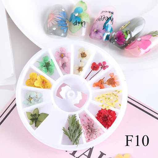 Title 3, Nail Art Dry Flower 12 Grid Box Colorful Daisy ...