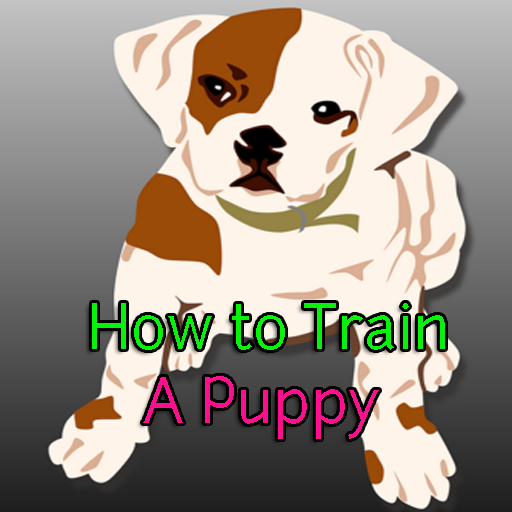 How to Train a Puppy