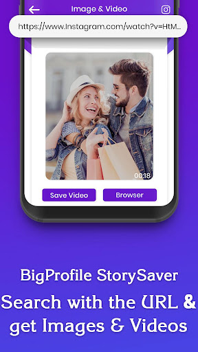 Big Profile Story Saver
