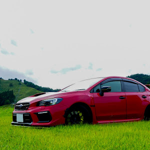 WRX STI VAB