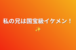 私の兄は国宝級イケメン！✨