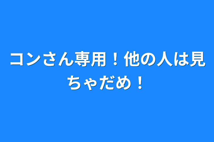 「コンさん専用！他の人は見ちゃだめ！」のメインビジュアル