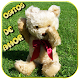 Download ositos con frases de amor con ositos cariñositos For PC Windows and Mac 1.0