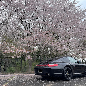 911 クーペ カレラ4S