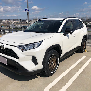 RAV4 MXAA52