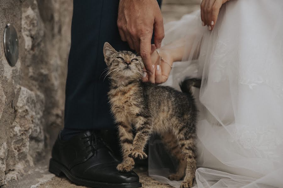 Vestuvių fotografas Igor Djordjevic (igorche). Nuotrauka 2023 kovo 1