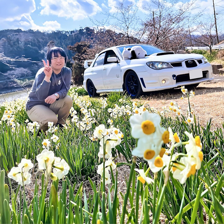 インプレッサ WRXの佐久間ダム・佐久間ダム湖・水仙とコラボ・スイセンの花・写活に関するカスタム事例の投稿画像2枚目