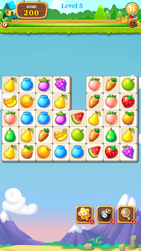 Connect Fruit - Pair Matching Puzzle