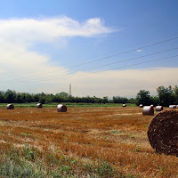 Campi coltivati al parco del Roccolo di 