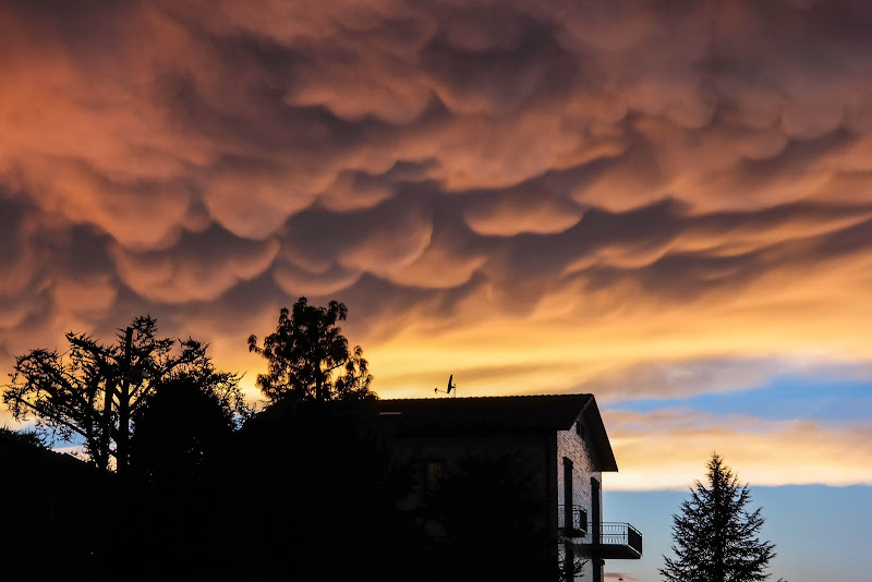 Mammatus! di utente cancellato