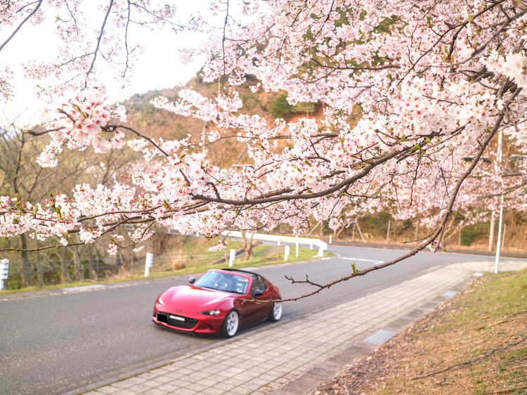 ロードスターRFのサクラと愛車・県立大学に関するカスタム事例の投稿画像8枚目