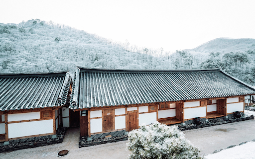 Japanese style house