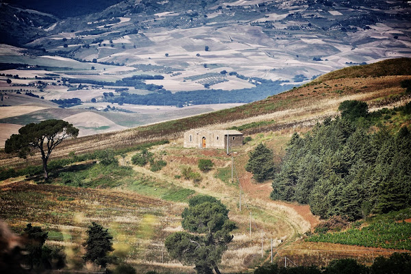 Lucania di Dongi