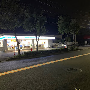 セレナ C25型