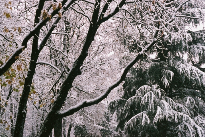 Colori d' Inverno di gianni87