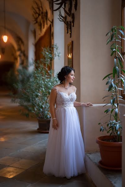 Fotógrafo de casamento Elena Vazhenina (weddingprague). Foto de 22 de janeiro 2019