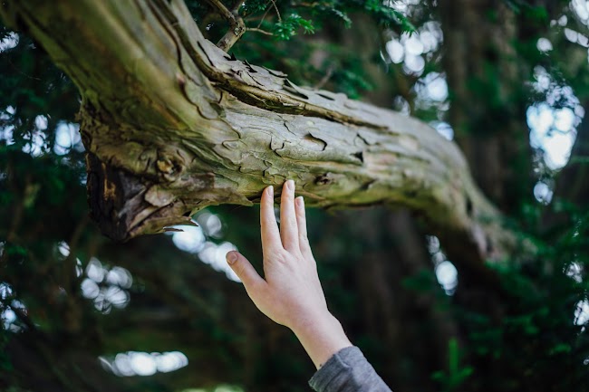 記憶法： 我觸摸樹木 (touch wood)，希望帶來好運。別人嘲笑我，但我相信笑口常開，好運繼續來，所以沒有介意。