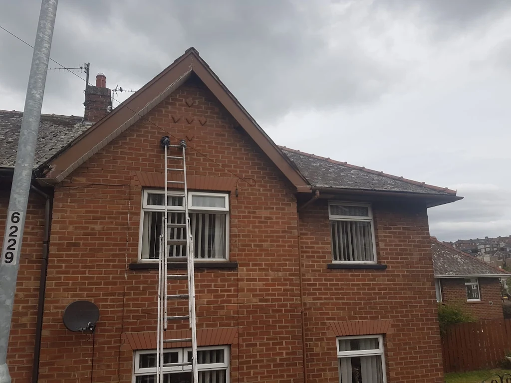 Album cover: Ridge tiles, Repointing, Fascia, Soffits & Guttering
