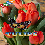 Cover Image of Download Tulips Ideas 2.8 APK