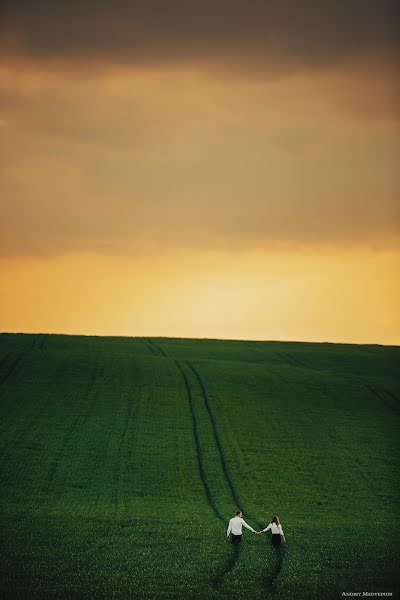 Pulmafotograaf Andrey Medvedyuk (medvediuk). Foto tehtud 27 mai 2014