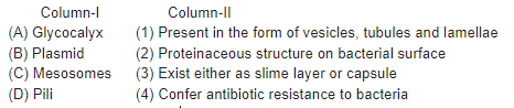 General Organization of Prokaryotic Cells