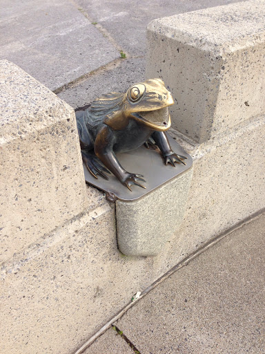 Frog Fountain Water Park