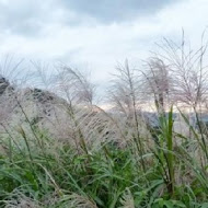 三本音樂餐廳