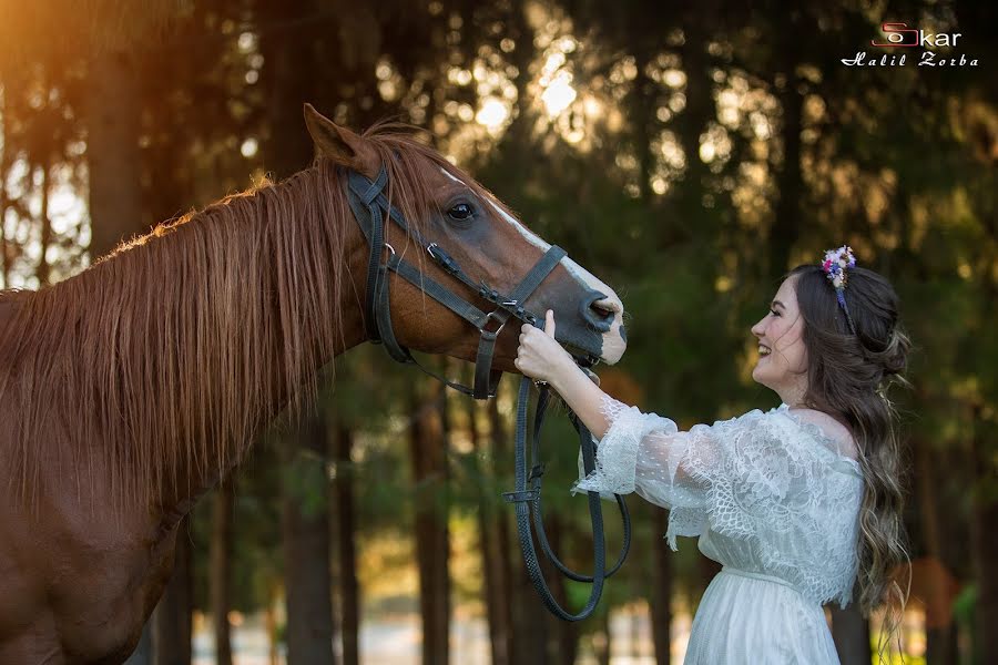 Photographe de mariage Halil Zorba (zorbaoskar). Photo du 11 avril 2018