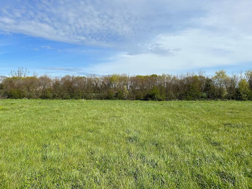 Vente terrain  445 m² à Benon (17170), 65 900 €